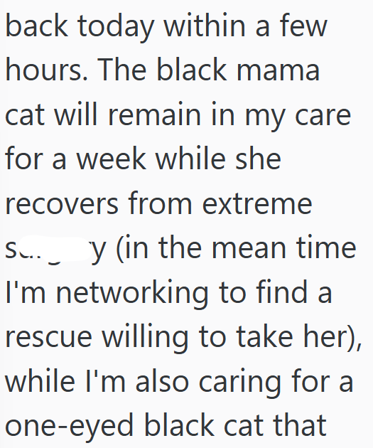 back today within a few hours. The black mama cat will remain in my care for a week while she recovers from extreme S...y (in the mean time I'm networking to find a rescue willing to take her), while I'm also caring for a one-eyed black cat that