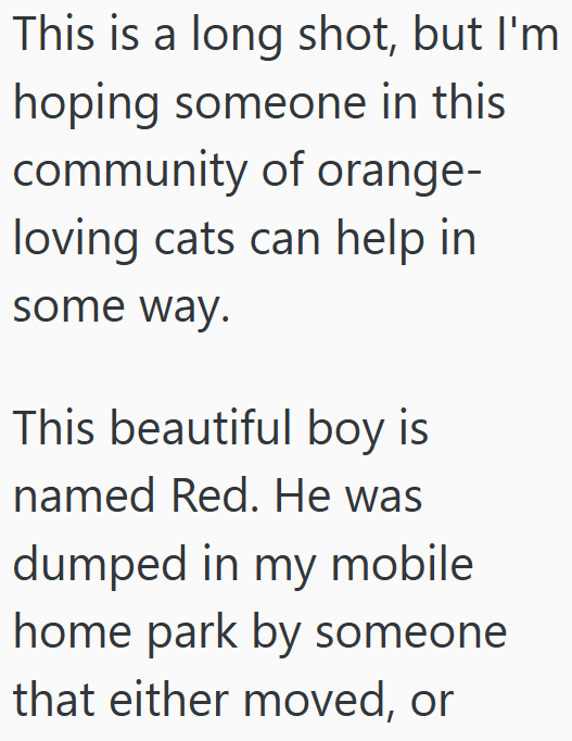 This is a long shot, but I'm hoping someone in this community of orange- loving cats can help in some way. This beautiful boy is named Red. He was dumped in my mobile home park by someone that either moved, or