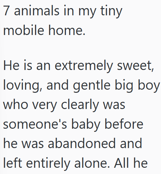 7 animals in my tiny mobile home. He is an extremely sweet, loving, and gentle big boy who very clearly was someone's baby before he was abandoned and left entirely alone. All he