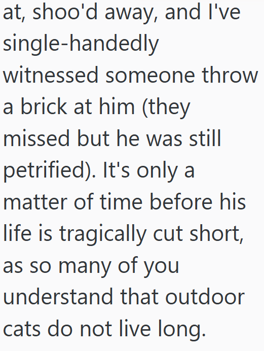 at, shoo'd away, and I've single-handedly witnessed someone throw a brick at him (they missed but he was still petrified). It's only a matter of time before his life is tragically cut short, as so many of you understand that outdoor cats do not live long.