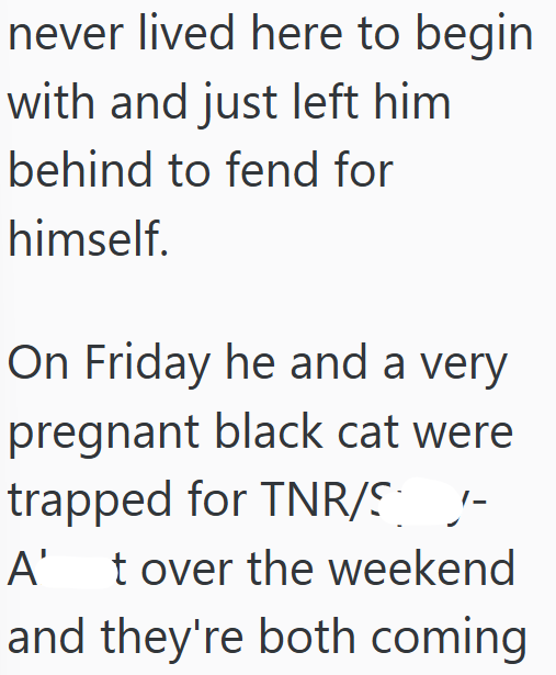 never lived here to begin with and just left him behind to fend for himself. On Friday he and a very pregnant black cat were trapped for TNR/S- A' t over the weekend and they're both coming