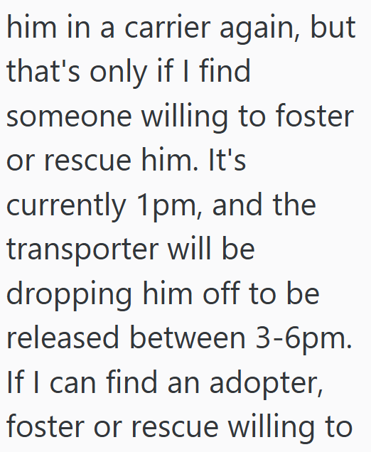 him in a carrier again, but that's only if I find someone willing to foster or rescue him. It's currently 1pm, and the transporter will be dropping him off to be released between 3-6pm. If I can find an adopter, foster or rescue willing to