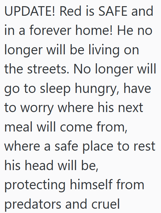 UPDATE! Red is SAFE and in a forever home! He no longer will be living on the streets. No longer will go to sleep hungry, have to worry where his next meal will come from, where a safe place to rest his head will be, protecting himself from predators and cruel