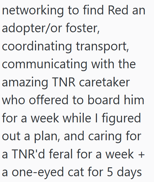 networking to find Red an adopter/or foster, coordinating transport, communicating with the amazing TNR caretaker who offered to board him for a week while I figured out a plan, and caring for a TNR'd feral for a week + a one-eyed cat for 5 days