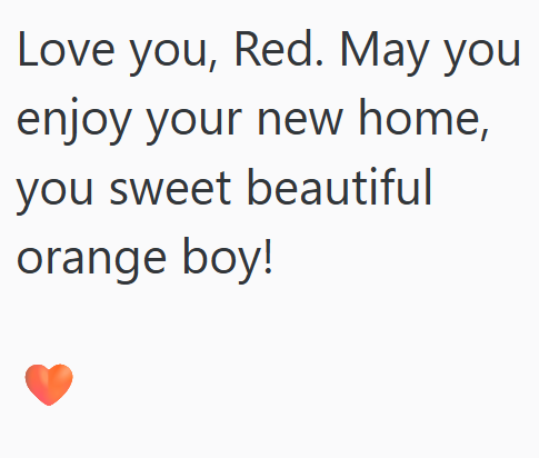 Love you, Red. May you enjoy your new home, you sweet beautiful orange boy!