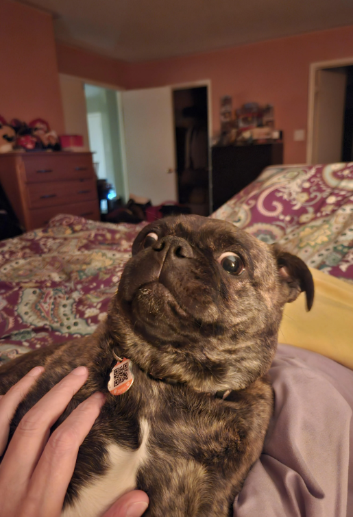 P