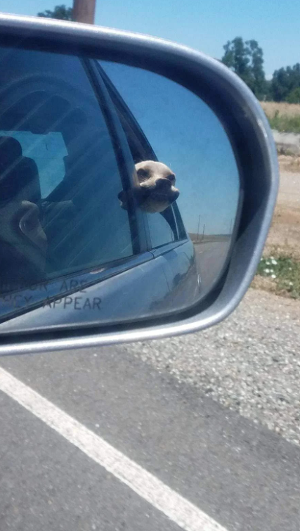ARE APPEAR