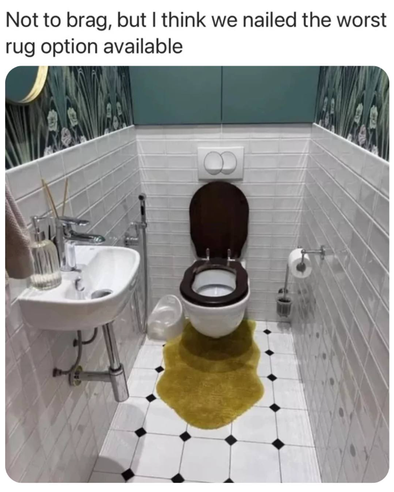 Not to brag, but I think we nailed the worst rug option available 8