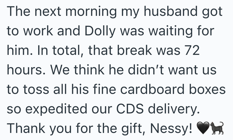 The next morning my husband got to work and Dolly was waiting for him. In total, that break was 72 hours. We think he didn't want us to toss all his fine cardboard boxes so expedited our CDS delivery. Thank you for the gift, Nessy!