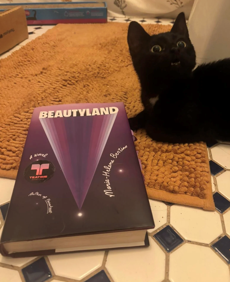 Η ποίησ BEAUTYLAND A Novel TEATIME BOOK CLUB Author مو Parakeet Marie-Helene Bertino