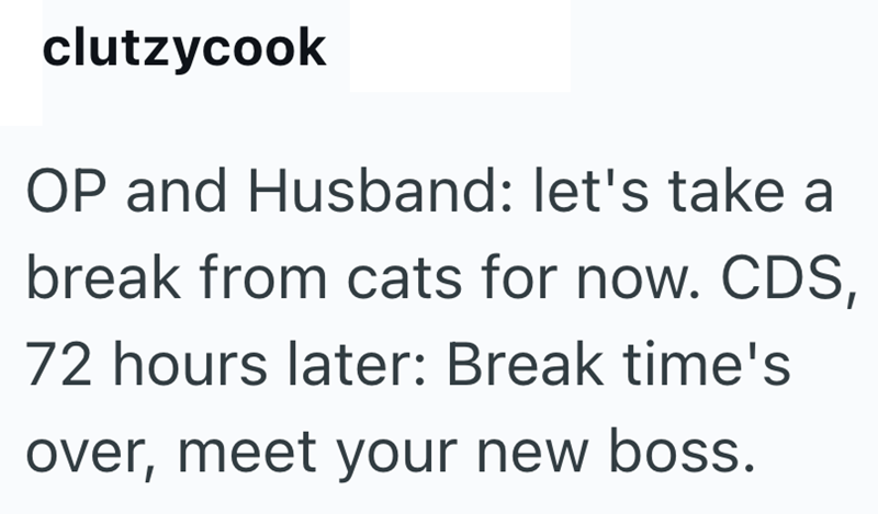  Break time's over, meet your new boss.