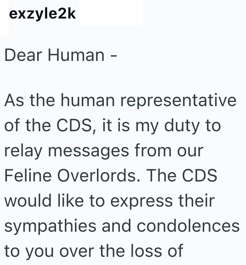 exzyle2k Dear Human - As the human representative of the CDS, it is my duty to relay messages from our Feline Overlords. The CDS would like to express their sympathies and condolences to you over the loss of