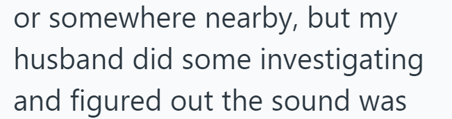 or somewhere nearby, but my husband did some investigating and figured out the sound was