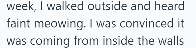 week, I walked outside and heard faint meowing. I was convinced it was coming from inside the walls
