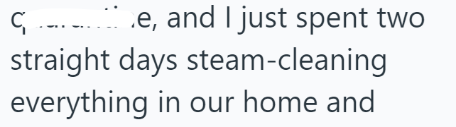 C₁ .e, and I just spent two straight days steam-cleaning everything in our home and