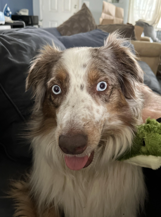 O