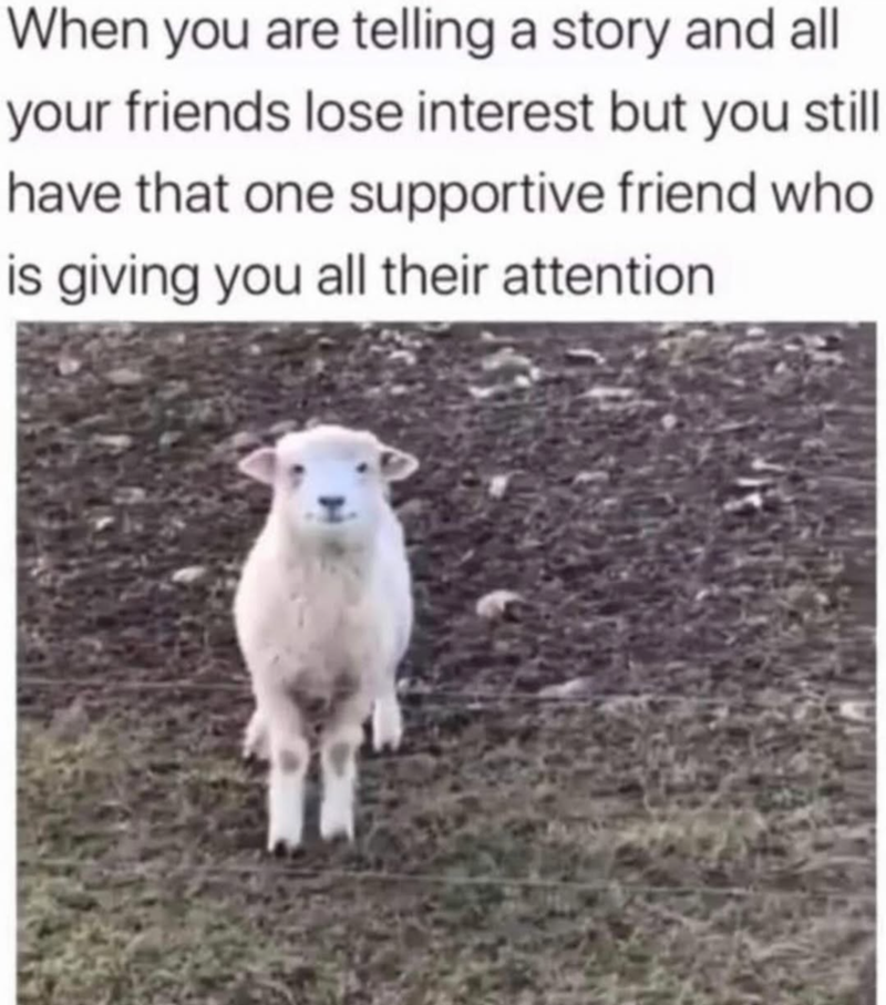 When you are telling a story and all your friends lose interest but you still have that one supportive friend who is giving you all their attention