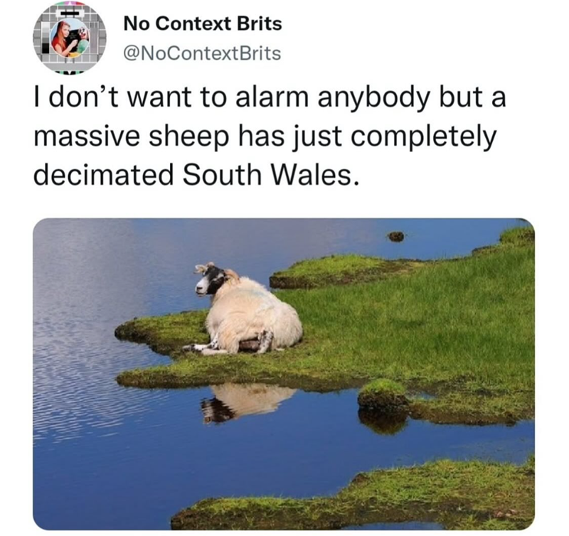 No Context Brits @NoContextBrits I don't want to alarm anybody but a massive sheep has just completely decimated South Wales.