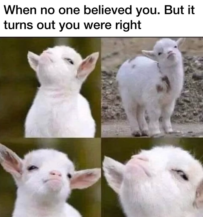 When no one believed you. But it turns out you were right
