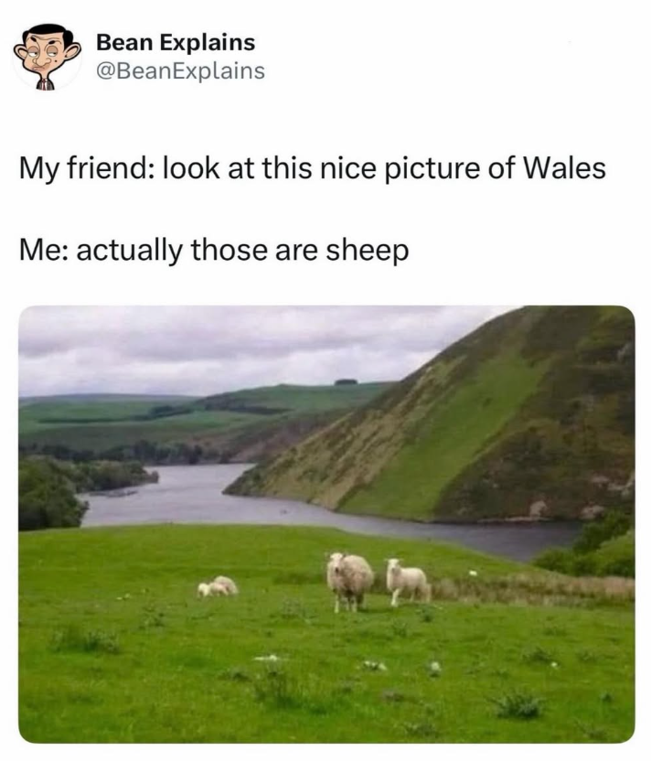 Bean Explains @BeanExplains My friend: look at this nice picture of Wales Me: actually those are sheep