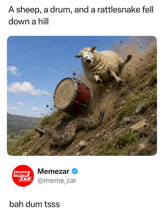 A sheep, a drum, and a rattlesnake fell down a hill MEME Memezar ZAR @meme_zar bah dum tsss
