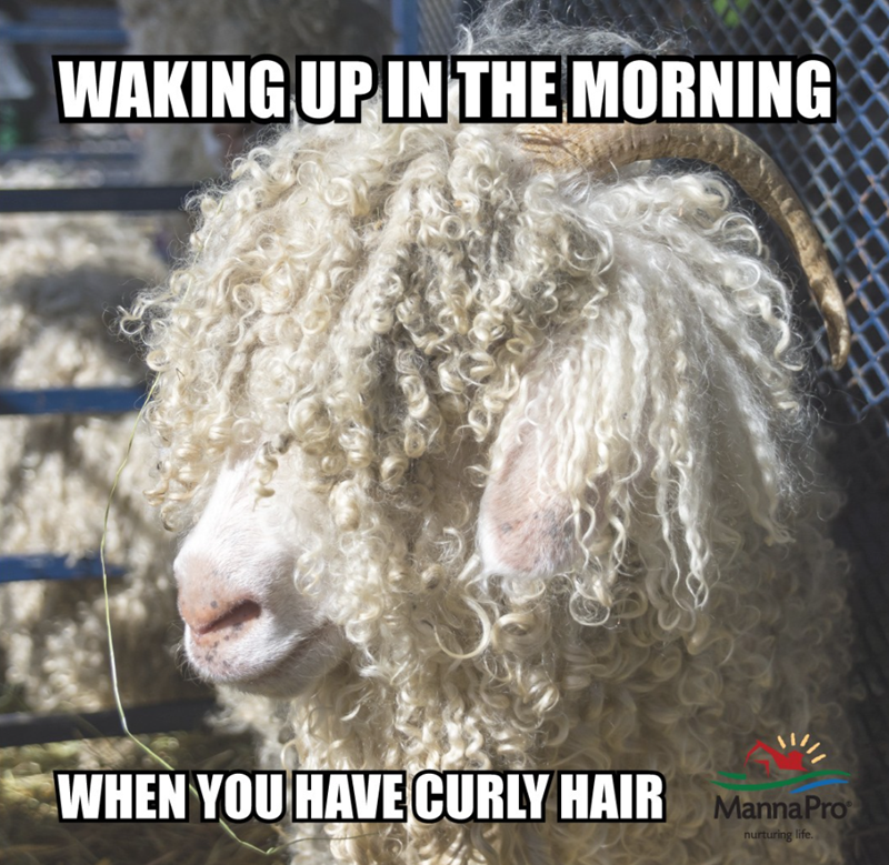 WAKING UP IN THE MORNING WHEN YOU HAVE CURLY HAIR MannaPro nurturing life.