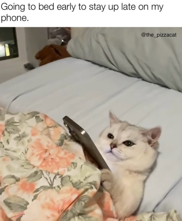 Going to bed early to stay up late on my phone. @the_pizzacat