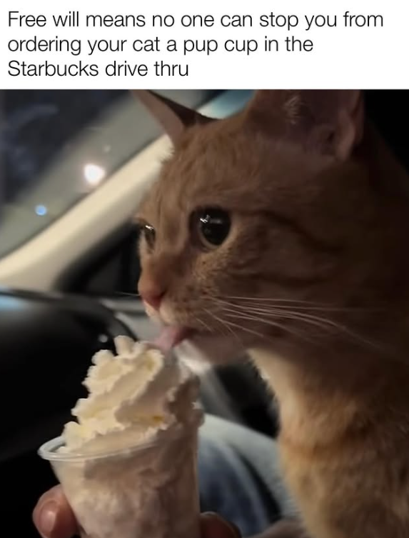 Free will means no one can stop you from ordering your cat a pup cup in the Starbucks drive thru