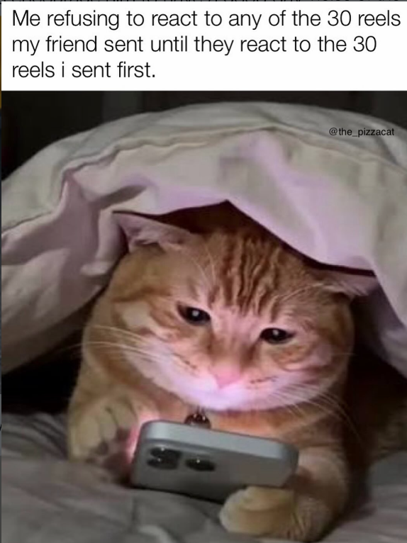 Me refusing to react to any of the 30 reels my friend sent until they react to the 30 reels i sent first. @the_pizzacat
