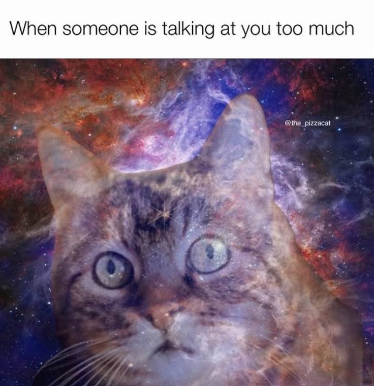 When someone is talking at you too much @the_pizzacat