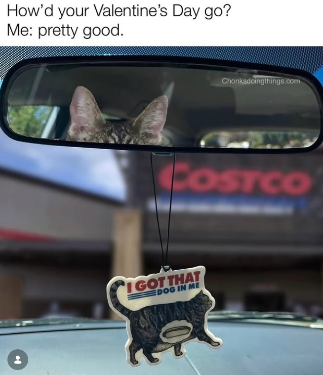 How'd your Valentine's Day go? Me: pretty good. Chonksdoingthings.com COSTCO I GOT THAT DOG IN ME