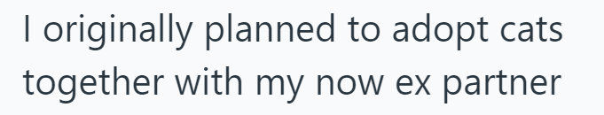 I originally planned to adopt cats together with my now ex partner