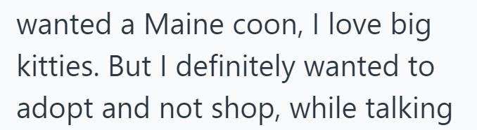 wanted a Maine coon, I love big kitties. But I definitely wanted to adopt and not shop, while talking