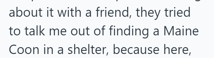 about it with a friend, they tried to talk me out of finding a Maine Coon in a shelter, because here,