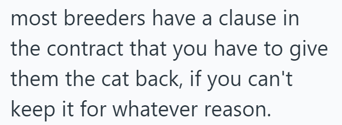 most breeders have a clause in the contract that you have to give them the cat back, if you can't keep it for whatever reason.