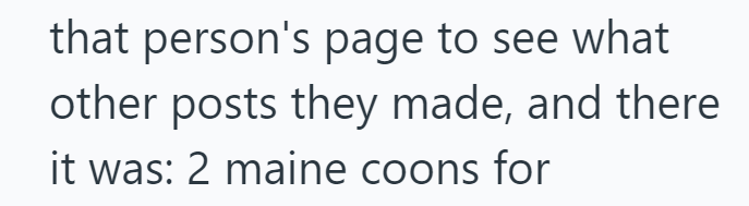 that person's page to see what other posts they made, and there it was: 2 maine coons for