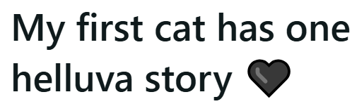 My first cat has one helluva story