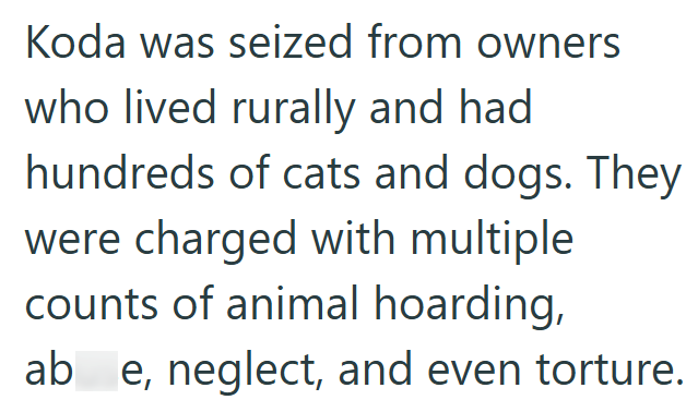 Koda was seized from owners who lived rurally and had hundreds of cats and dogs. They were charged with multiple counts of animal hoarding, ab e, neglect, and even torture.