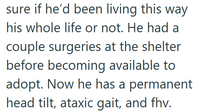 sure if he'd been living this way his whole life or not. He had a couple surgeries at the shelter before becoming available to adopt. Now he has a permanent head tilt, ataxic gait, and fhv.