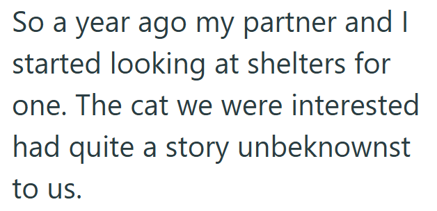 So a year ago my partner and I started looking at shelters for one. The cat we were interested had quite a story unbeknownst to us.