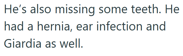 He's also missing some teeth. He had a hernia, ear infection and Giardia as well.