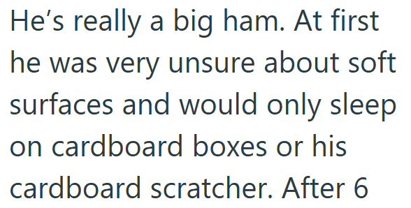 He's really a big ham. At first he was very unsure about soft surfaces and would only sleep on cardboard boxes or his cardboard scratcher. After 6