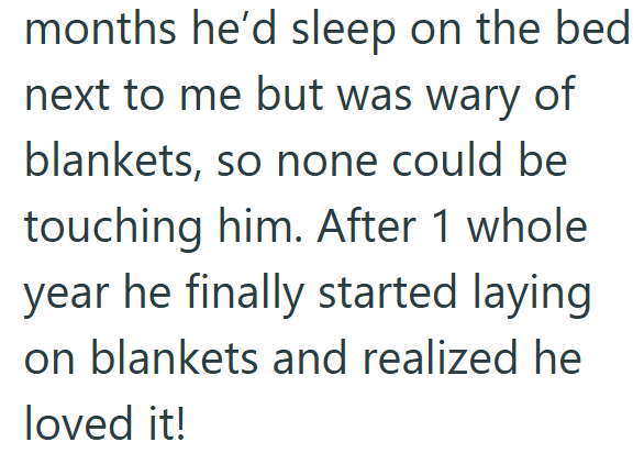 months he'd sleep on the bed next to me but was wary of blankets, so none could be touching him. After 1 whole year he finally started laying on blankets and realized he loved it!