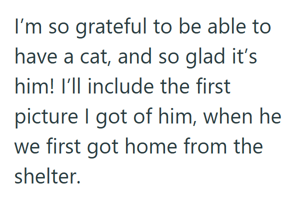 I'm so grateful to be able to have a cat, and so glad it's him! I'll include the first picture I got of him, when he we first got home from the shelter.