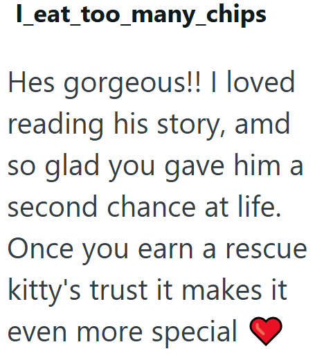 I_eat_too_many_chips Hes gorgeous!! I loved reading his story, amd so glad you gave him a second chance at life. Once you earn a rescue kitty's trust it makes it even more special
