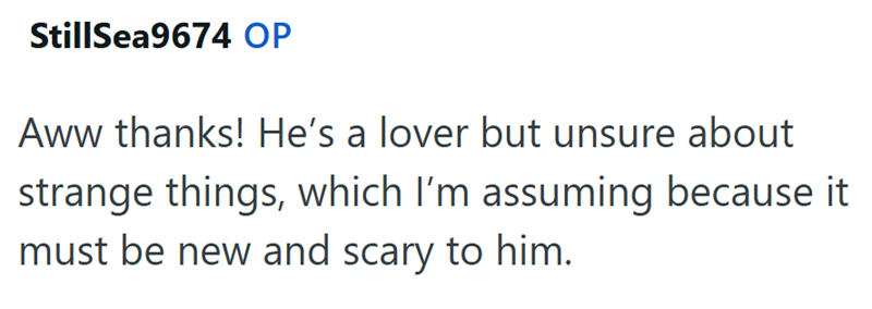 StillSea9674 OP Aww thanks! He's a lover but unsure about strange things, which I'm assuming because it must be new and scary to him.