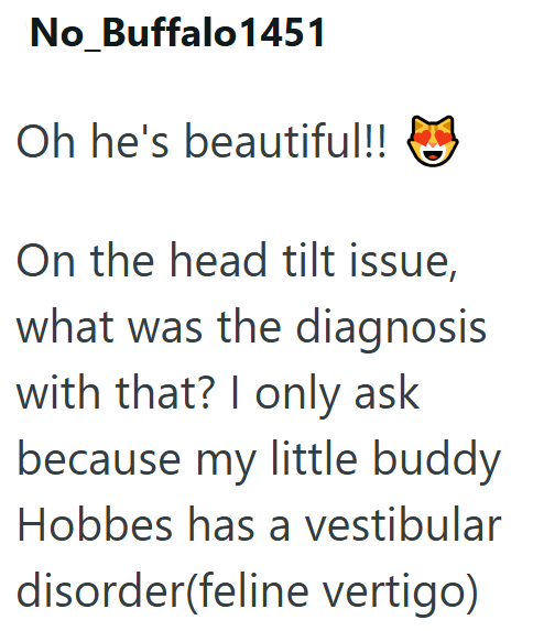 No_Buffalo1451 Oh he's beautiful!! ✓ On the head tilt issue, what was the diagnosis with that? I only ask because my little buddy Hobbes has a vestibular disorder(feline vertigo)