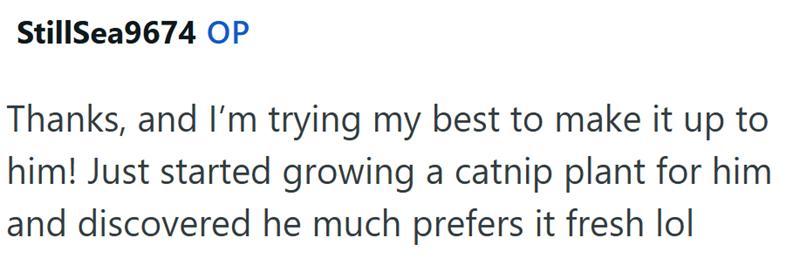 StillSea9674 OP Thanks, and I'm trying my best to make it up to him! Just started growing a catnip plant for him and discovered he much prefers it fresh lol