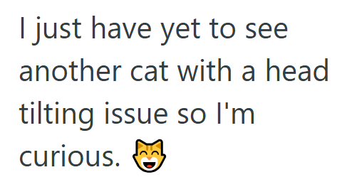 I just have yet to see another cat with a head tilting issue so I'm curious.