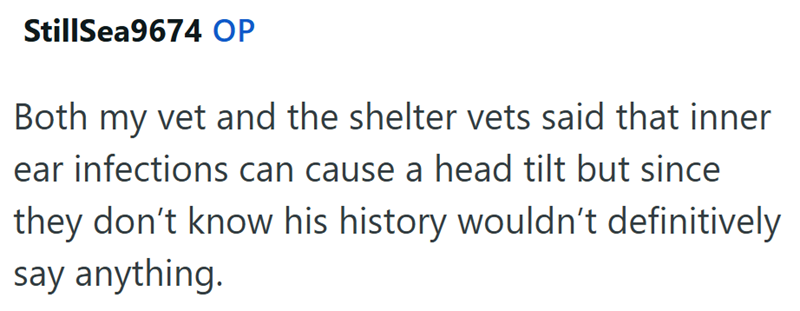 StillSea9674 OP Both my vet and the shelter vets said that inner ear infections can cause a head tilt but since they don't know his history wouldn't definitively say anything.